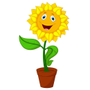 Zonnebloemen